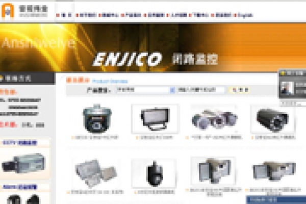 深圳市安視偉業(yè)電子有限公司